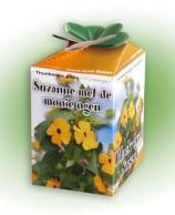 Greengift Black-eyed Susan