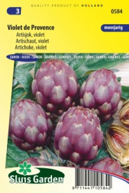 Artichoke, Violet de Provence