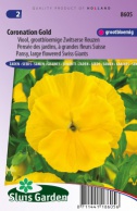 Pansy Swiss Giants, Coronation Gold