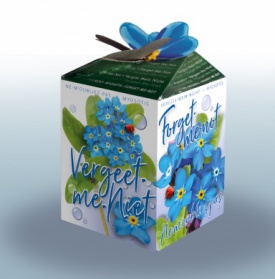 Greengift Forget-me-not