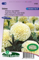 African Marigold, dwarf double, Eskimo