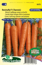 Carrot Resistafly F1 (Halflong summer and autumn)