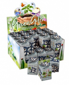 Greengift, Happy-Bear blue 40 pcs in showbox