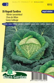 Savoy cabbage, Di Napoli Tardivo