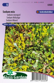 Sedum Mixed
