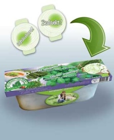 Kit Basil & Chives ORGANIC