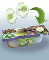 Kit Salad Red Salad Bowl ORGANIC