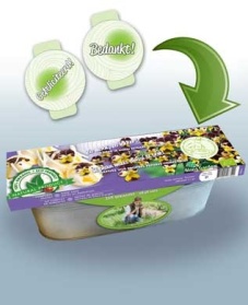 Kit edible Viola 3-colour ORGANIC