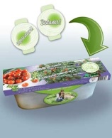 Kit Tomato Siderno F1 (pot-tomato)