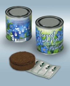 Bouquet in tin Forget-me-not