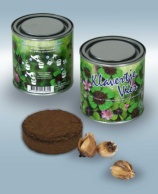 Bouquet in tin Lucky four leaf clover