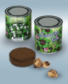 Bouquet in tin Lucky four leaf clover
