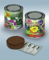 Bouquet in tin Butterfly and Bee flowers mix ORGANIC
