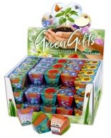 Terra Cotta Showbox MIX 60x