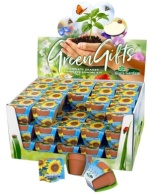 Terra Cotta Showbox Sunflower tall yellow 60x