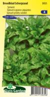 Spinach Breedblad Scherpzaad (Early spring and late autumn crop)
