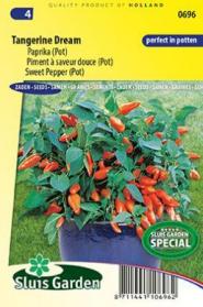 Sweet Pepper Tangerina Dream (pot)