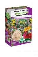 Mixture Annual Summerflowers Semi-dwarf Maxi-Pack