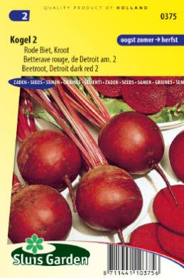 Beetroot, Red Gardenbeet Detroit dark red 2