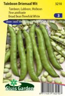 Broad bean Threefold white