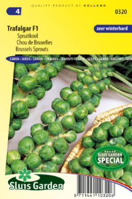 Organique Légume-Chou-LANGEDIJKER BEWAAR 2-100 graines