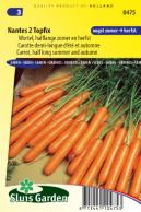 Carrot Nantes 2 Topfix (Halflong Summer and Autumn)