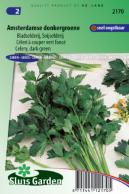 Celery Amsterdam Dark Green (Apium grav.)