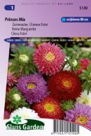 China aster Princess Choice Mix