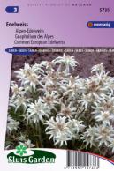 Edelweiss, Common European