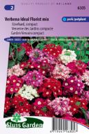 Garden Vervein Ideal Florist mix, compact