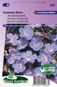 Geranium Meadow Cranesbill, Blue