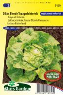 Lettuce Butterhead Dikke Blonde Traagschietende