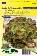 Lettuce Butterhead Quattro Stagione