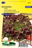 Lettuce Looseleaf Red Salad Bowl (Red Oak Leaf)