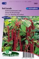 Love-Lies-Bleeding Red (Inca Wheat)