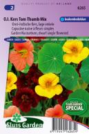 Nasturtium, Indian Cress dwarf sinlge Tom Thumb mix