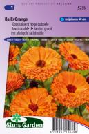 Calendula (Pot Marigold) Ball's Orange tall double