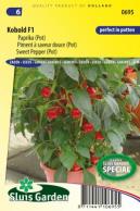 Sweet pepper (pot) Kobold F1