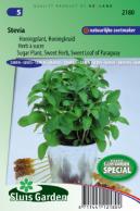 Stevia, Sugar Plant, Sweet Herb, Sweet leaf of Paraguay