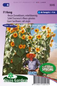 Sunflower Giant tall single F1 Kong yellow