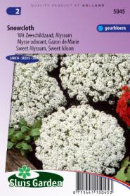 Alyssum, Sweet Alison Snowcloth