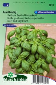 Basil, Sweet Large leaved (Ocimum basilicum)