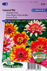 Zinnia Caroussel Mix