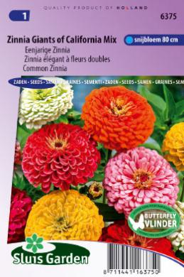 Zinnia California Giant mix seed       FREE SHIPPING on this item
